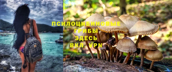 кокаин колумбия Алексеевка